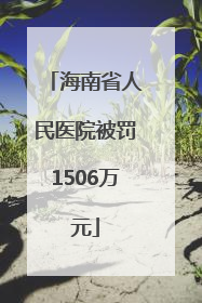 海南省人民医院被罚1506万元