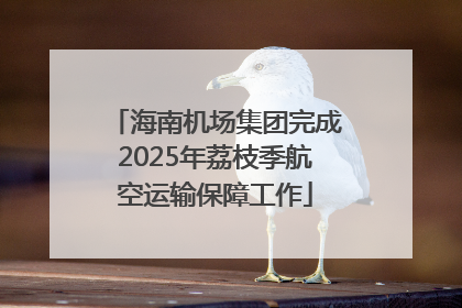 海南机场集团完成2025年荔枝季航空运输保障工作