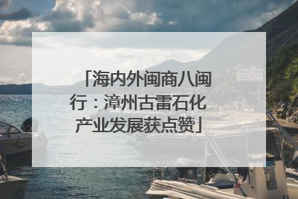海内外闽商八闽行：漳州古雷石化产业发展获点赞