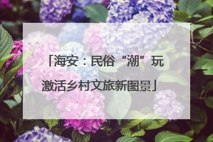 海安：民俗“潮”玩激活乡村文旅新图景