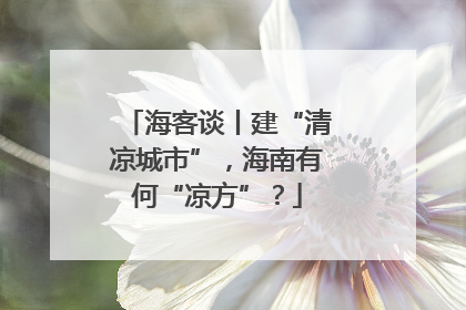海客谈丨建“清凉城市”，海南有何“凉方”？