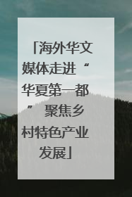海外华文媒体走进“华夏第一都” 聚焦乡村特色产业发展