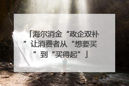 海尔消金“政企双补”让消费者从“想要买”到“买得起”