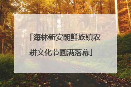 海林新安朝鲜族镇农耕文化节圆满落幕