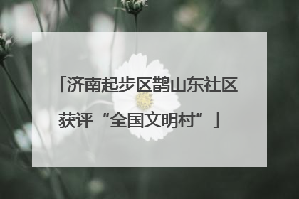 济南起步区鹊山东社区获评“全国文明村”