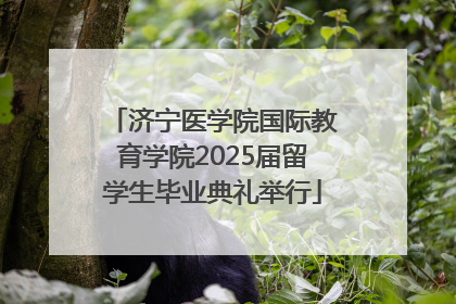 济宁医学院国际教育学院2025届留学生毕业典礼举行