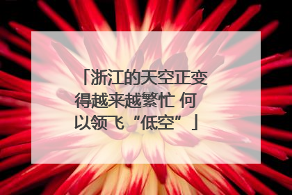 浙江的天空正变得越来越繁忙 何以领飞“低空”
