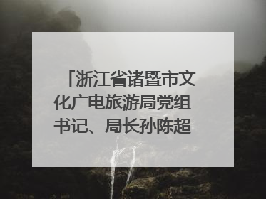 浙江省诸暨市文化广电旅游局党组书记、局长孙陈超：以“西施”IP激活全域旅游 打造县域文旅融合新标杆｜第七届全国县域旅游研究成果发布系列活动