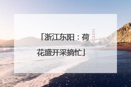 浙江东阳：荷花盛开采摘忙