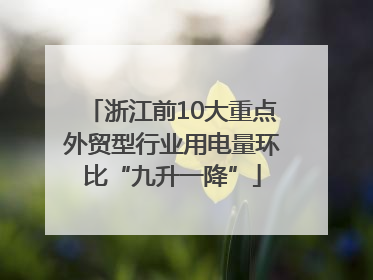 浙江前10大重点外贸型行业用电量环比“九升一降”