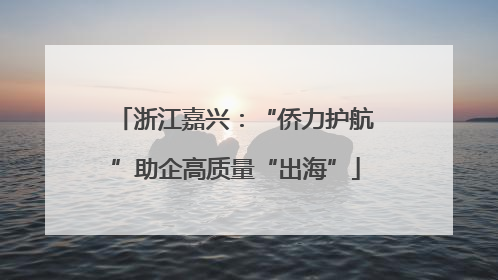 浙江嘉兴：“侨力护航”助企高质量“出海”