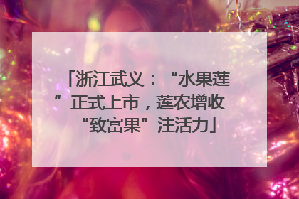 浙江武义：“水果莲”正式上市，莲农增收“致富果”注活力
