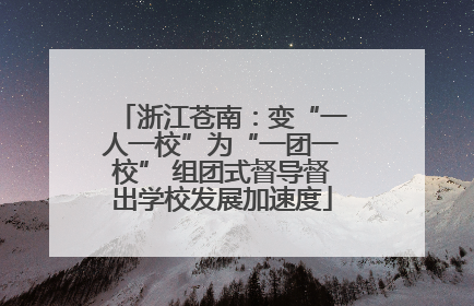 浙江苍南：变“一人一校”为“一团一校” 组团式督导督出学校发展加速度