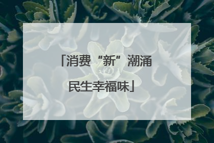 消费“新”潮涌 民生幸福味