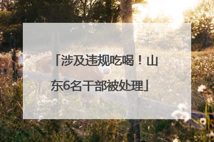 涉及违规吃喝！山东6名干部被处理