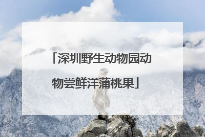 深圳野生动物园动物尝鲜洋蒲桃果
