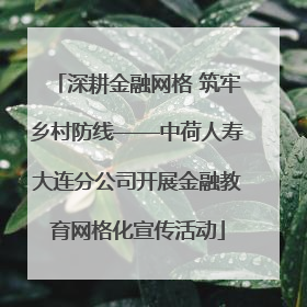 深耕金融网格 筑牢乡村防线——中荷人寿大连分公司开展金融教育网格化宣传活动