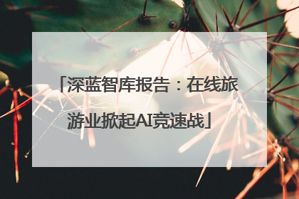 深蓝智库报告：在线旅游业掀起AI竞速战