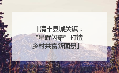 清丰县城关镇：“星辉闪耀”打造乡村共富新图景