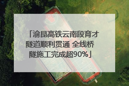 渝昆高铁云南段育才隧道顺利贯通 全线桥隧施工完成超90%