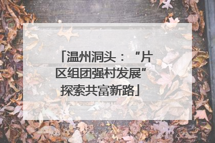 温州洞头：“片区组团强村发展”探索共富新路