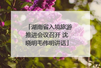湖南省入境旅游推进会议召开 沈晓明毛伟明讲话