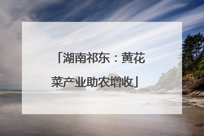 湖南祁东：黄花菜产业助农增收