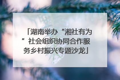 湖南举办“湘社有为”社会组织协同合作服务乡村振兴专题沙龙