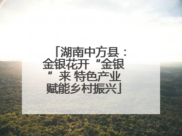 湖南中方县：金银花开“金银”来 特色产业赋能乡村振兴