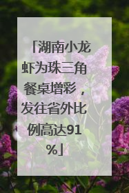 湖南小龙虾为珠三角餐桌增彩，发往省外比例高达91%