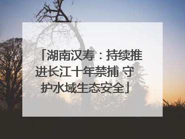 湖南汉寿：持续推进长江十年禁捕 守护水域生态安全