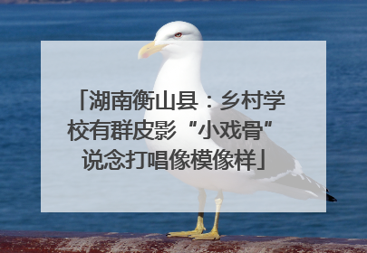 湖南衡山县：乡村学校有群皮影“小戏骨” 说念打唱像模像样