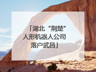 湖北“荆楚”人形机器人公司落户武昌