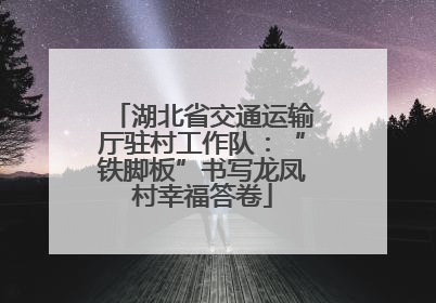 湖北省交通运输厅驻村工作队：“铁脚板”书写龙凤村幸福答卷