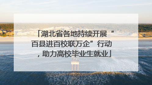 湖北省各地持续开展“百县进百校联万企”行动，助力高校毕业生就业