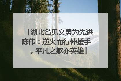 湖北省见义勇为先进陈伟：逆火而行伸援手，平凡之躯亦英雄