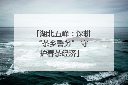 湖北五峰：深耕“茶乡警务” 守护春茶经济