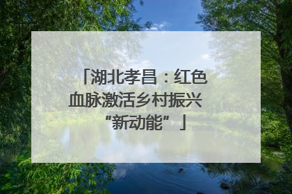 湖北孝昌：红色血脉激活乡村振兴“新动能”