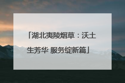 湖北夷陵烟草：沃土生芳华 服务绽新篇