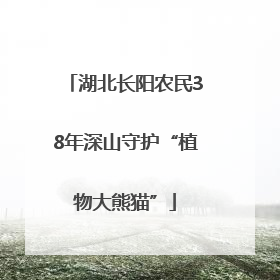 湖北长阳农民38年深山守护“植物大熊猫”