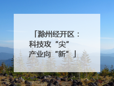 滁州经开区：科技攻“尖” 产业向“新”