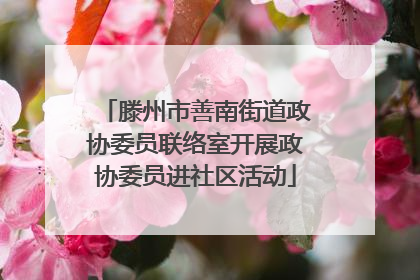 滕州市善南街道政协委员联络室开展政协委员进社区活动