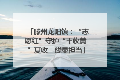 滕州龙阳镇：“志愿红”守护“丰收黄”夏收一线显担当