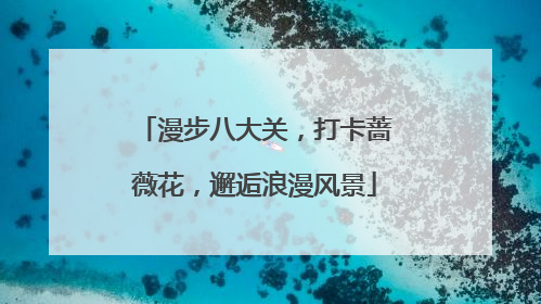 漫步八大关，打卡蔷薇花，邂逅浪漫风景