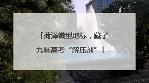 菏泽微型地标，藏了九味高考“解压剂”