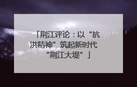 荆江评论：以“抗洪精神”筑起新时代“荆江大堤”