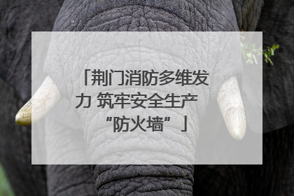 荆门消防多维发力 筑牢安全生产“防火墙”