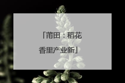 莆田：稻花香里产业新
