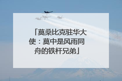 莫桑比克驻华大使：莫中是风雨同舟的铁杆兄弟