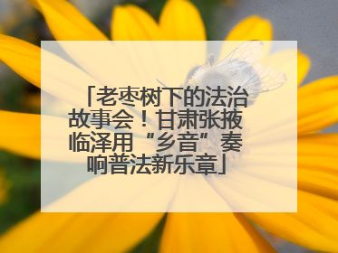 老枣树下的法治故事会！甘肃张掖临泽用“乡音”奏响普法新乐章